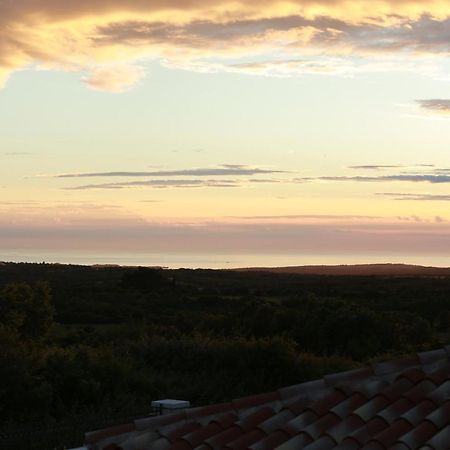 Villa Carolus-Luxurious Istrian Villa Barat  Luaran gambar