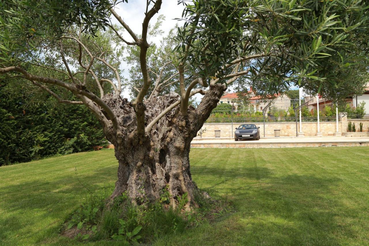 Villa Carolus-Luxurious Istrian Villa Barat  Luaran gambar